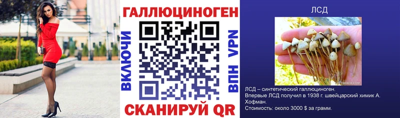 Галлюциногенные грибы GOLDEN TEACHER  блэк спрут рабочий сайт  Кочубеевское 